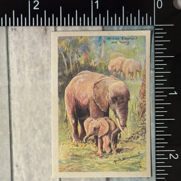🌀10/$10🌀 Classic Grassland Animals Reusable Washi Sticker Decal - Picture 1 of 1